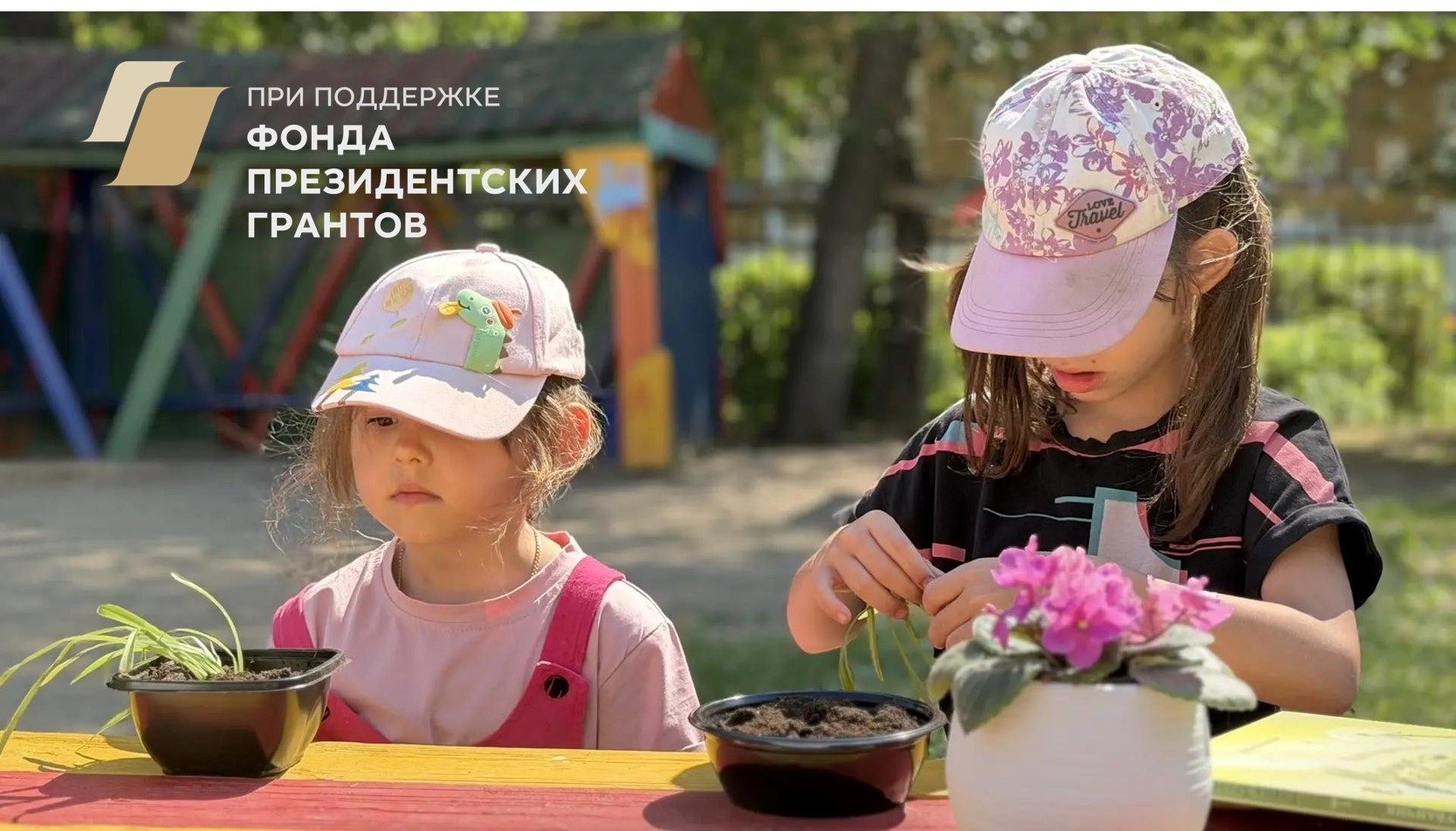 Корни, листья и немножко любви: как мы сажали цветы!